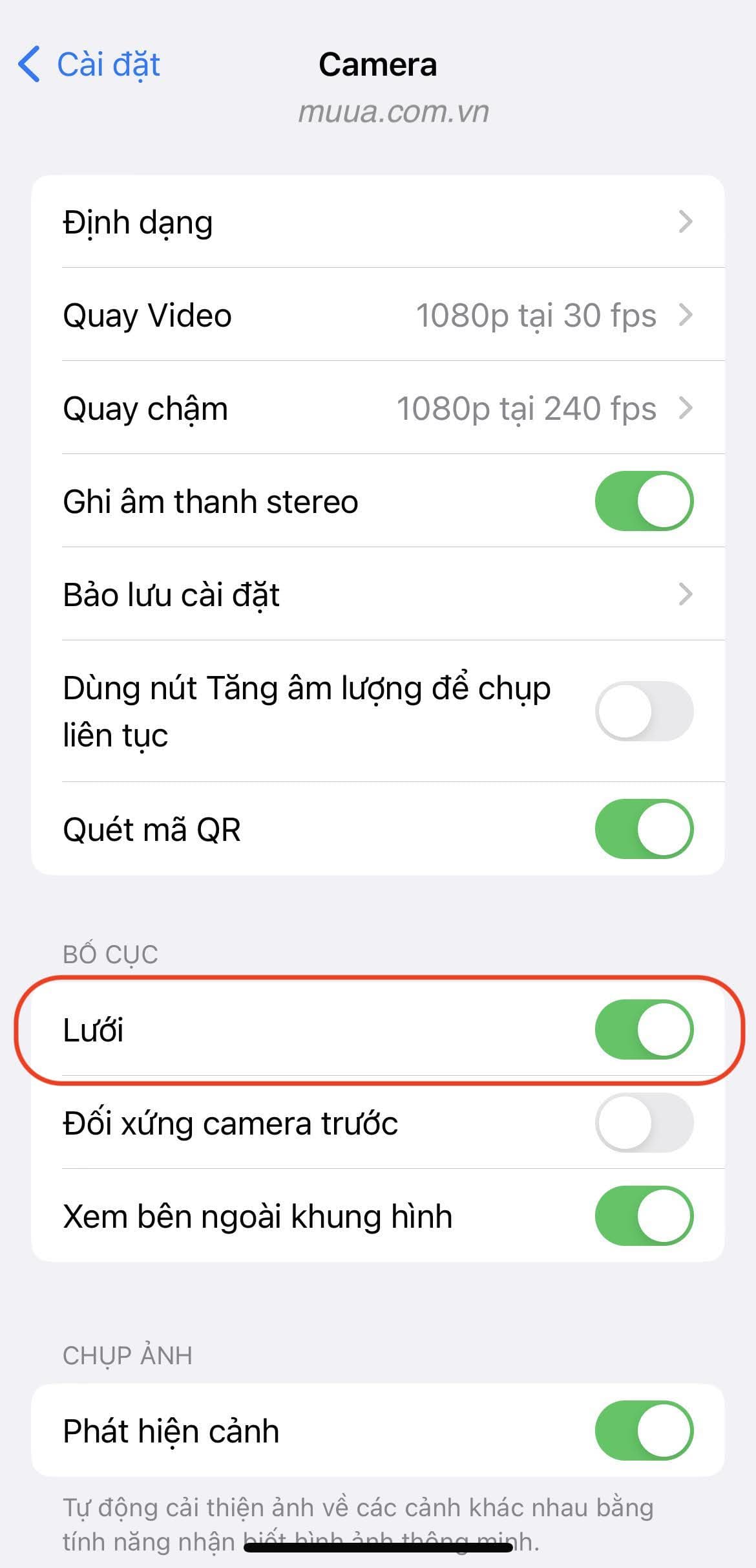 Cài đặt > Camera> Bật Lưới trong Bố cục